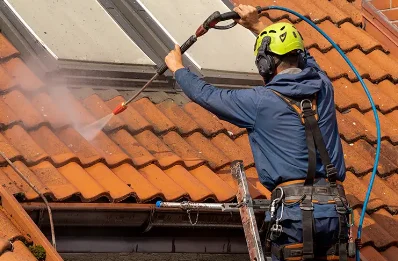 Démoussage et hydrofuge de toiture à Ambiegna